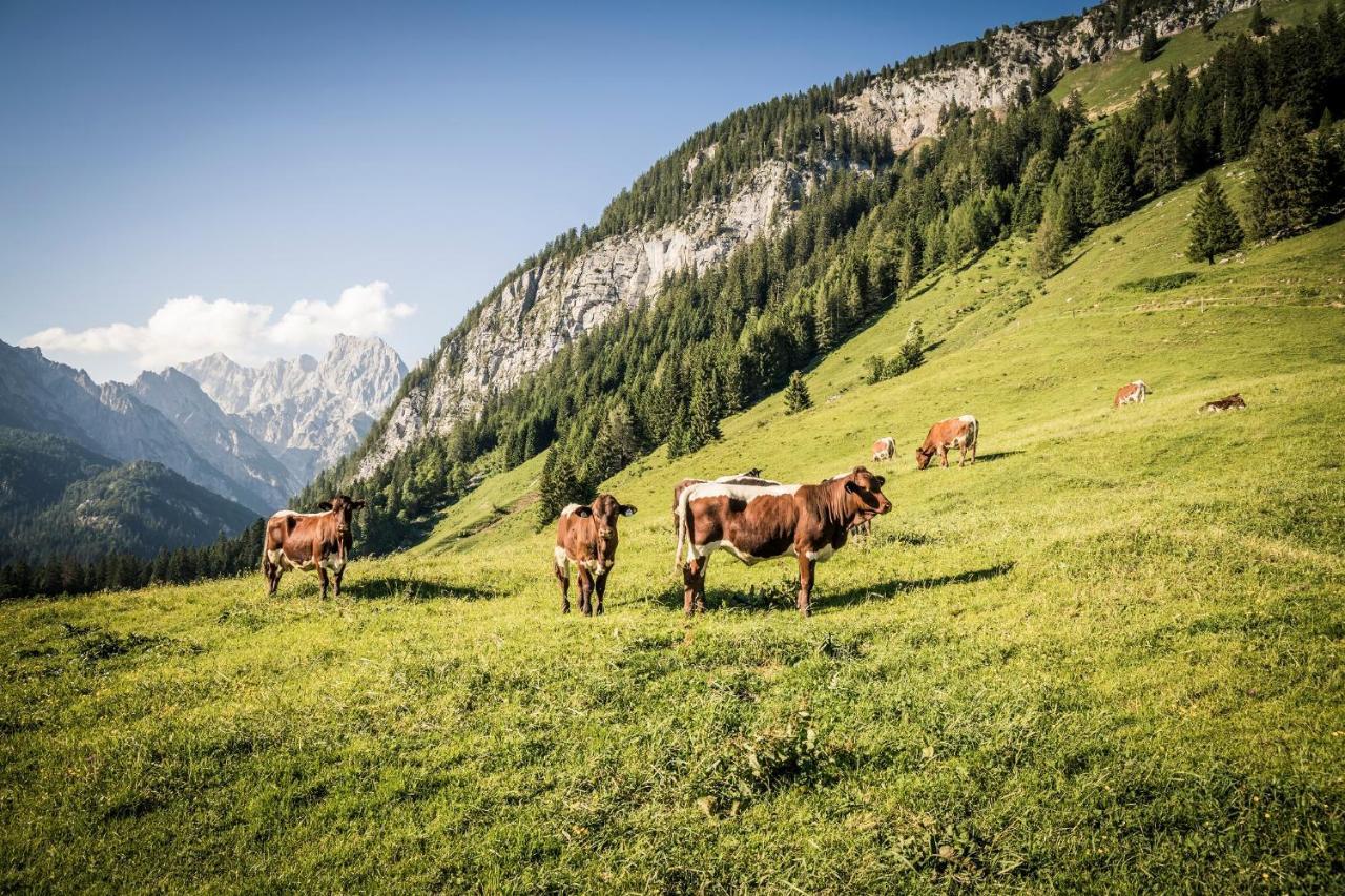 Exklusive Fewo Drachleck Mit 3 Schlafzimmern & Panoramabergblick In Bester Lage Schonau am Konigssee Bagian luar foto